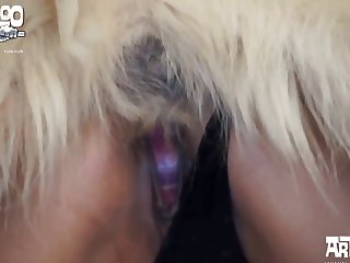 Cupcake Art Of Zoo Porn