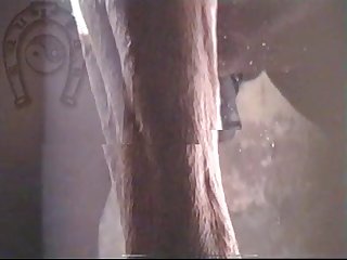 Horse Errect5