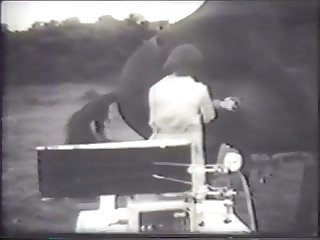 Stallion Ejaculation Mechanism