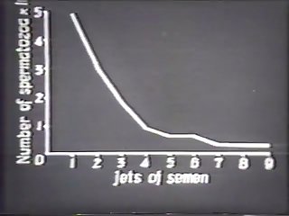 Stallion Ejaculation Mechanism