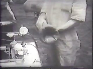 Stallion Ejaculation Mechanism