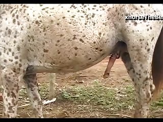 Internal Camera Mare Vulva