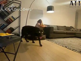 Kiss A Dog Porn