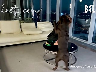 Art Of Zoo Luxuretv