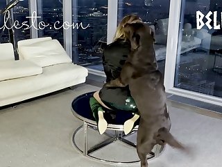 Art Of Zoo Luxuretv