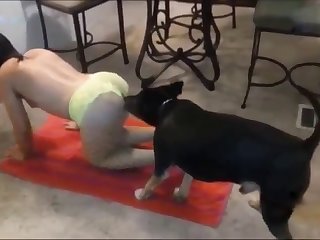 Gay Dog Porn Video