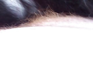 Free Extrem Dog Porn Sluts