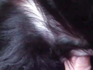Free Extrem Dog Porn Sluts