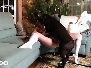 Forced With Dog