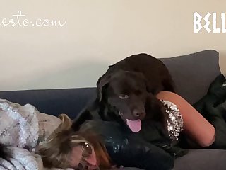 Sex Dog Porn Hub