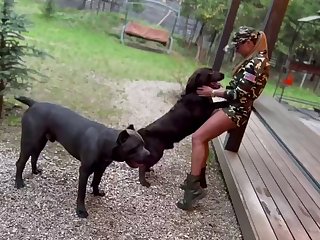 Dog Porn Tiktok