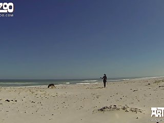 Dog Xxx Free Video