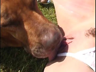 Dog Xxx Guy