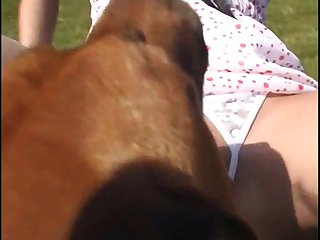 Dog Xxx Guy
