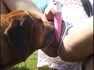 Dog Xxx Guy