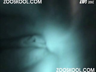 Zastonj Sex