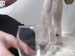 Animal Sikis