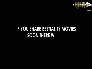 Videos Of Animals Having Sex