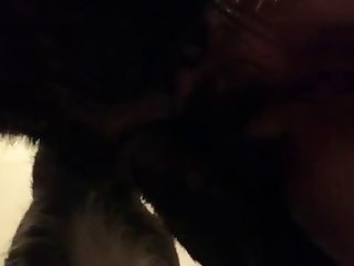 Dando Para O Cachorro