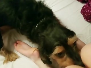 Zoofilia Com Loira