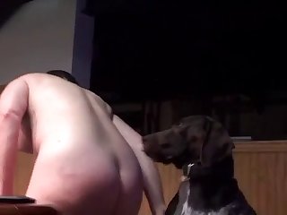Hentai Cachorro