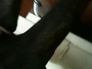 Hentai Cachorra