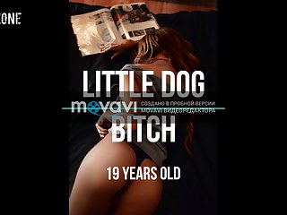 Mulher Transado Com Cachorro