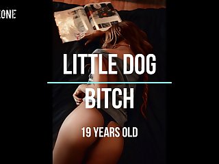Mulher Transado Com Cachorro