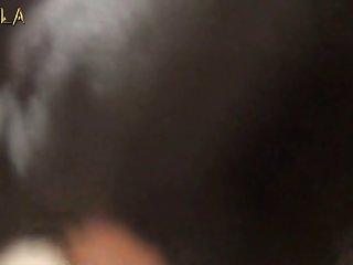 Chatte De Cheval
