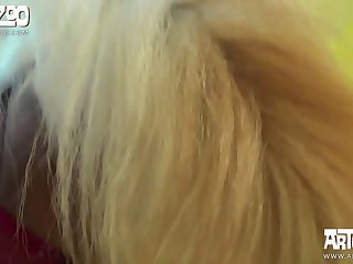 Cachorro Porno