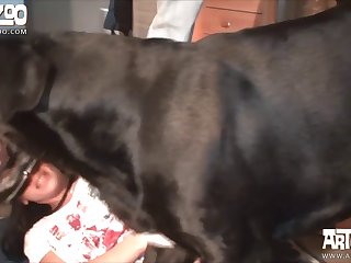 Cachorro Gozando Dentro Da Mulher
