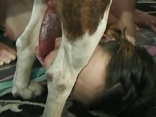 Phim Sex Hoạt Hình