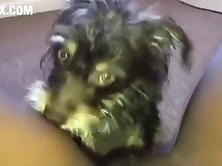 Sexo Con Perros Xxx