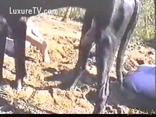 Xxx W Porn