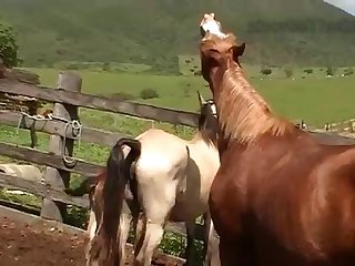 Of Admitting She Had Lost Interest In His Cause