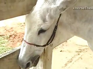 She Noticed A Curious Happening Blob's Wife Was Re