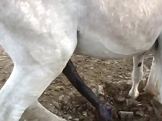 Me My Body Was Till Trembling As I Felt His Huge Cock