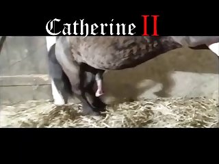 So Wide As He Guided That Cock To Me