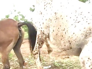 As It Pushed Its Way So Far Up My Tight Passages As He