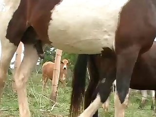 Orgasm But Her Actions Did Nothing To Discourage It