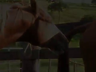 Then One Day Horse Owner Called